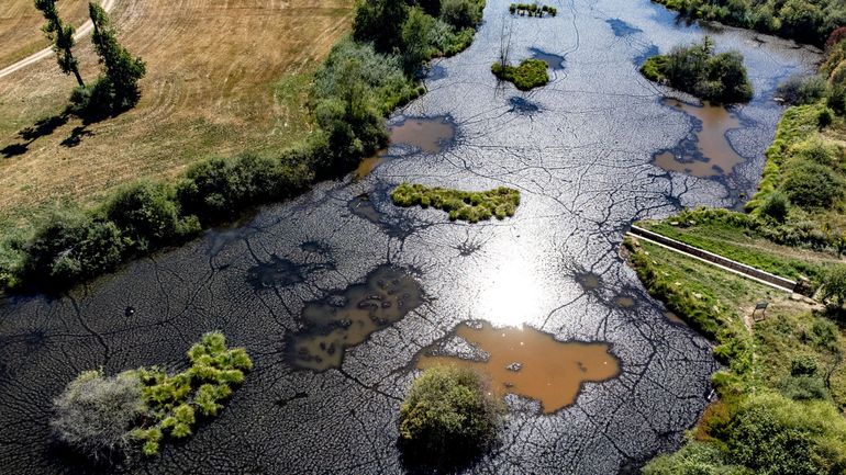 Le gouvernement flamand reconnaît la sécheresse de 2022 comme une 