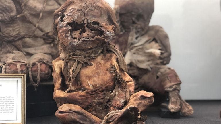 Deux momies de bébés précolombiens entourées de mystères : des scientifiques tentent de les percer