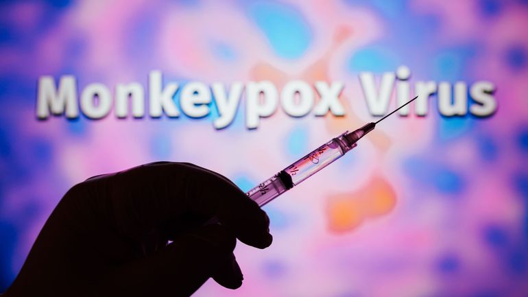 Variole du singe : l'UE prépare des achats groupés de vaccins contre la variole du singe