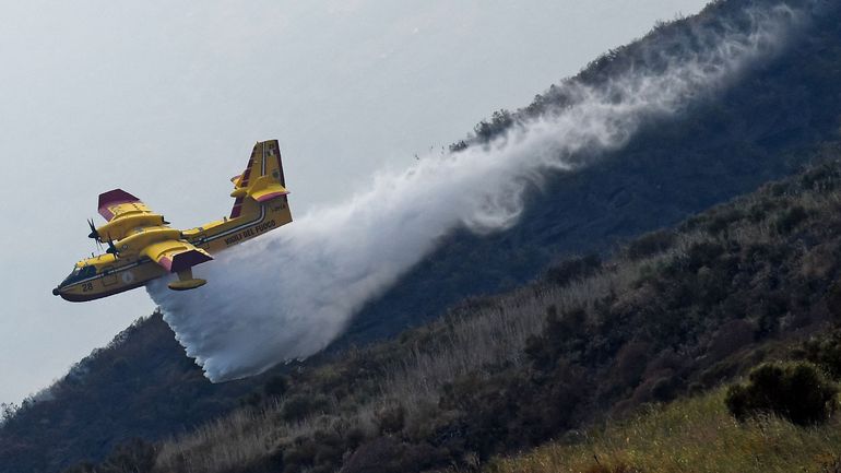 Incendies en Europe : la Sicile déclare l'état d'urgence en raison des feux de forêt