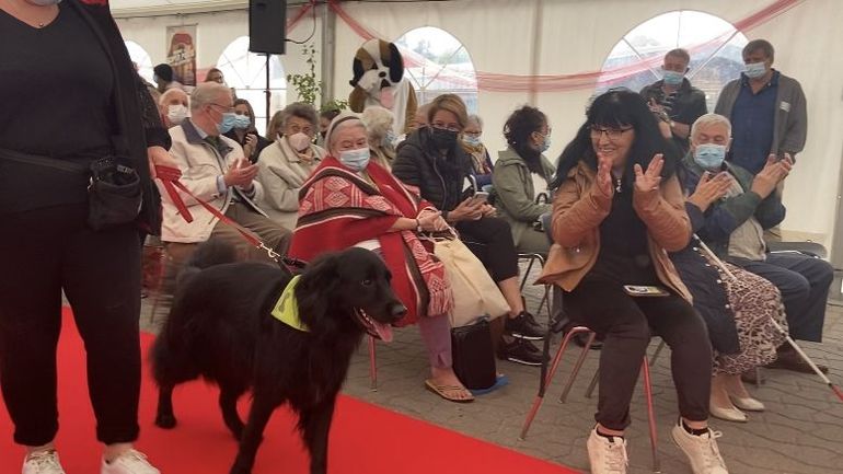 À Mons, tapis rouge pour 14 chiens-guides : 