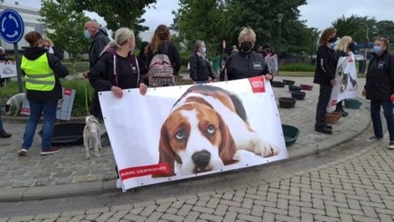 Manifestation d'Animal Rights contre des tests sur des chiens chez Janssen Pharmaceutica