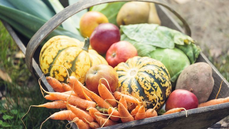 Les fruits et légumes de saison en octobre