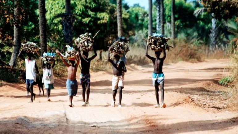 Cop26 : la Gambie, seul pays à réellement faire des efforts pour le climat, selon une étude