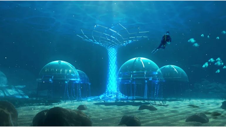Le jardin de Nemo, une ferme sous-marine pour les plantes terrestres