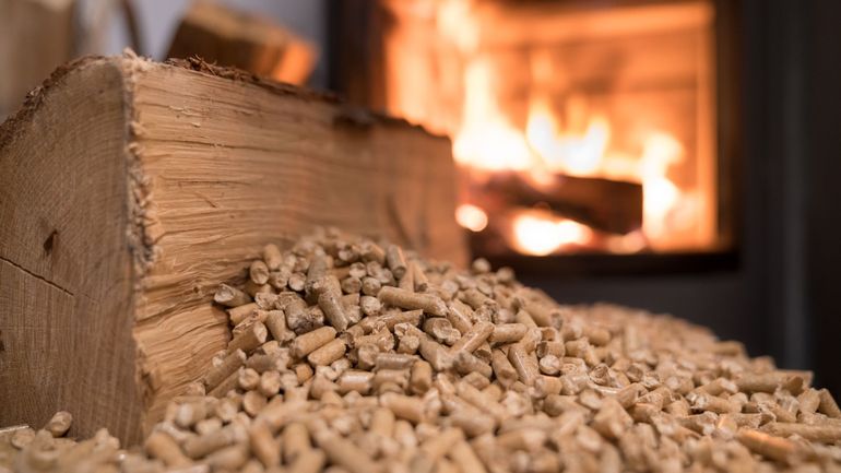 Augmentation des prix du bois et du pellet : pourquoi ? Pénuries en vue ?