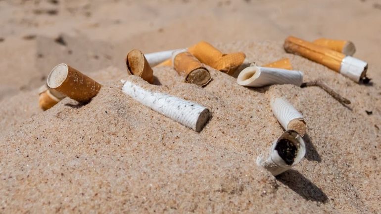 Inutiles, polluants… Faut-il interdire les filtres de cigarettes ?