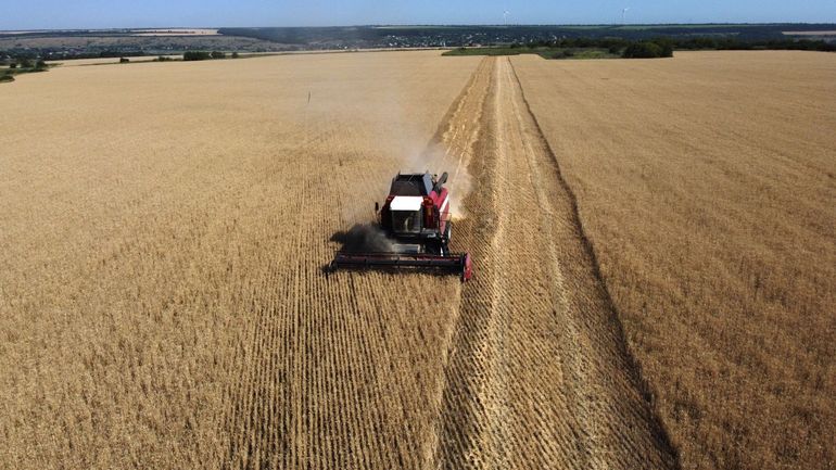 La Pologne appelle l'Union européenne à freiner l'arrivée du blé ukrainien : 