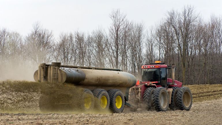 Dossier azote en Flandre : le Conseil d'État ne donne pas raison aux agriculteurs