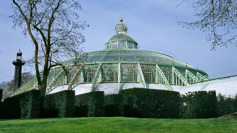 Les serres royales de Laeken ouvertes au public : comment aborder la remise à neuf de ce trésor alliant vert, fer et verre ?