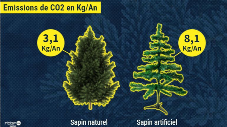 Sapin naturel ou artificiel : lequel est le plus écologique ?