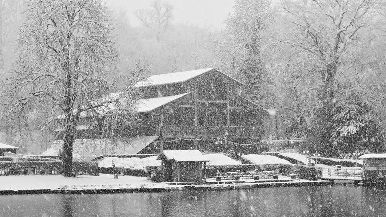 Neige en Belgique : les plus belles photos des paysages blanchis près de chez vous