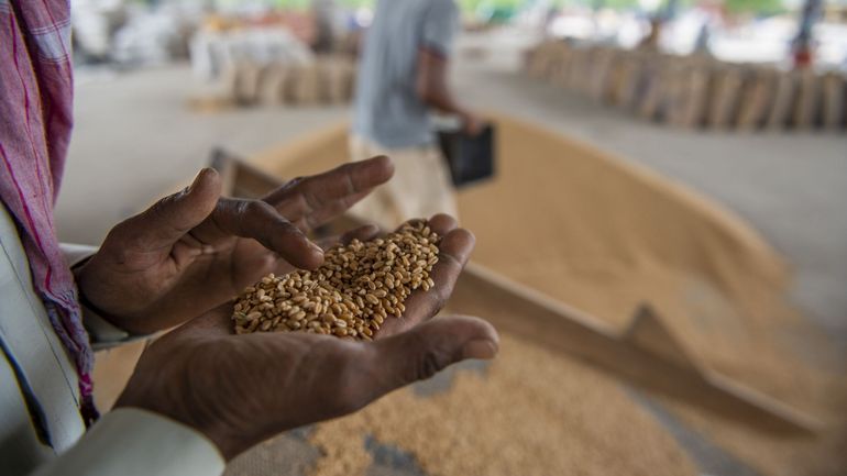 L'Inde renforce la surveillance des restrictions à l'exportation de blé