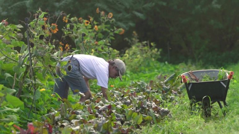 Entre soleil et giboulées : le printemps, une saison clé pour les maraîchers