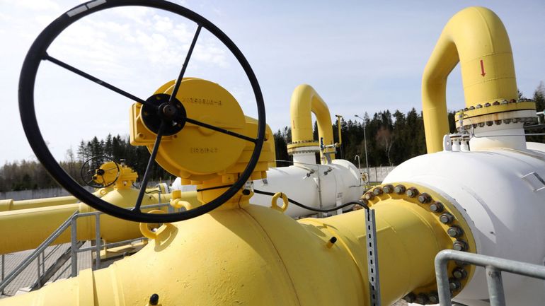 Guerre en Ukraine : le parlement lituanien interdit l'importation de gaz russe
