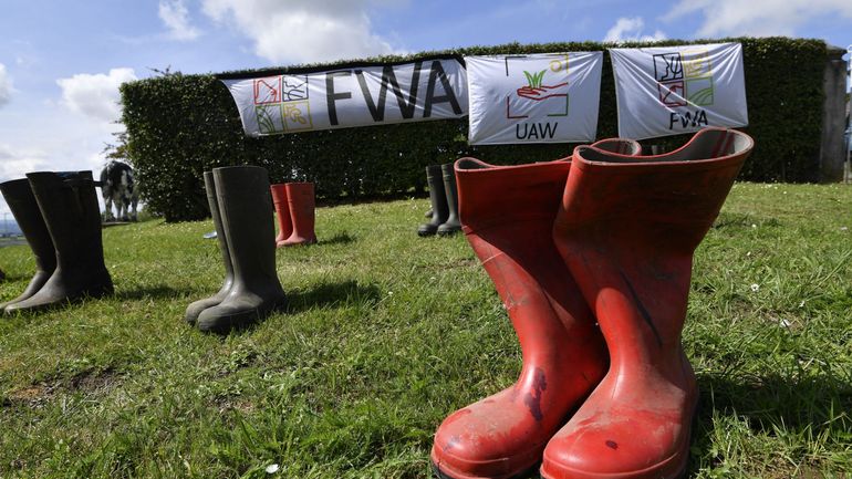 Les agriculteurs wallons appellent les élus belges à adopter la PAC