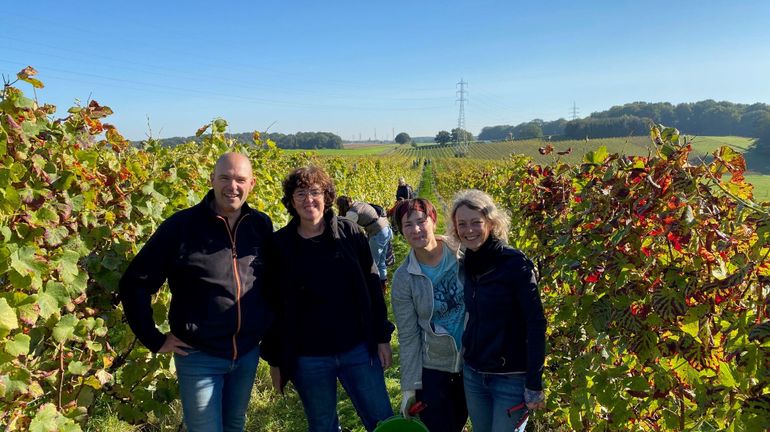 Genappe : malgré les dégâts dus au gel, les vendangeurs n'ont pas fait grise mine ce samedi au Domaine de Glabais