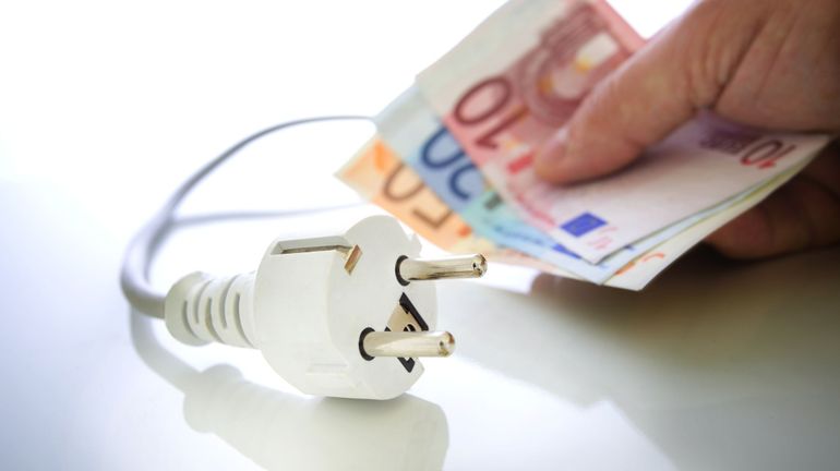 Energie: 35.000 ménages wallons en défaut de paiement, dénonce le PTB
