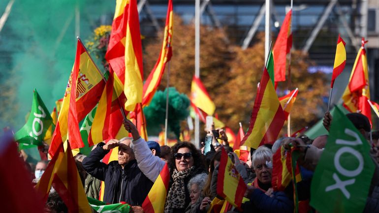 Espagne : des milliers de sympathisants d'extrême droite manifestent contre le gouvernement