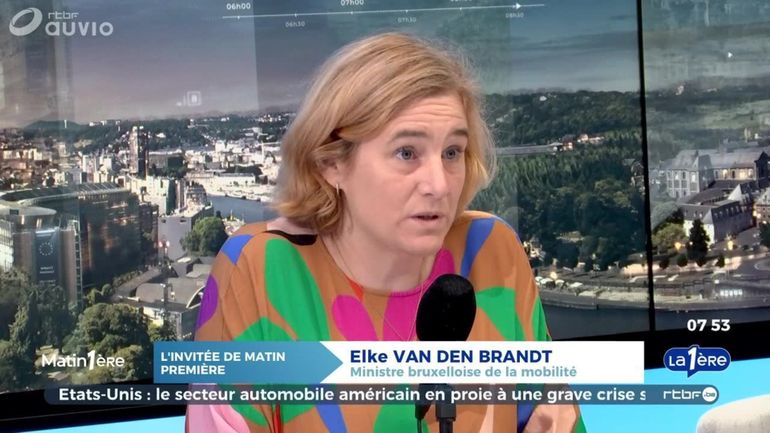 Elke Van den Brandt (Groen) : 