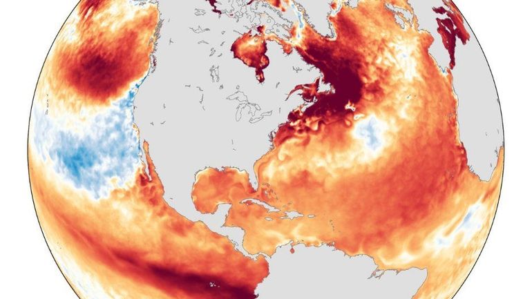 Canicules marines : nouveau record de surchauffe des océans cet été, la planète brûle toujours plus
