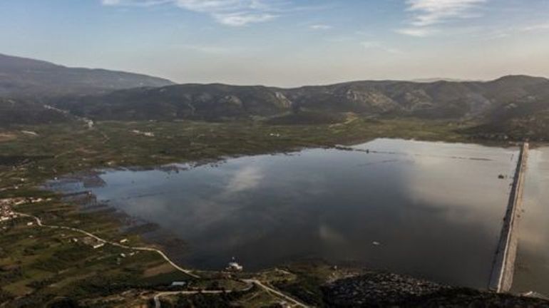 Grèce : nouvelle catastrophe écologique au golfe de Volos, envahi par des poissons morts