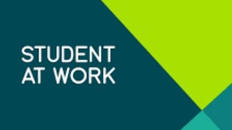 L'application Student@work pas adaptée aux étudiants bruxellois, selon une députée libérale flamande
