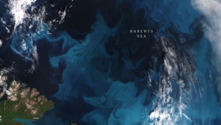 L'image satellite du jour : le phytoplancton peint l'Arctique en turquoise