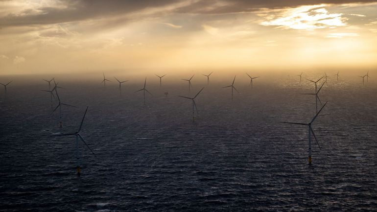 Littoral : les éoliennes de la Côte ont fourni en électricité près de 2 millions de ménages en 2021