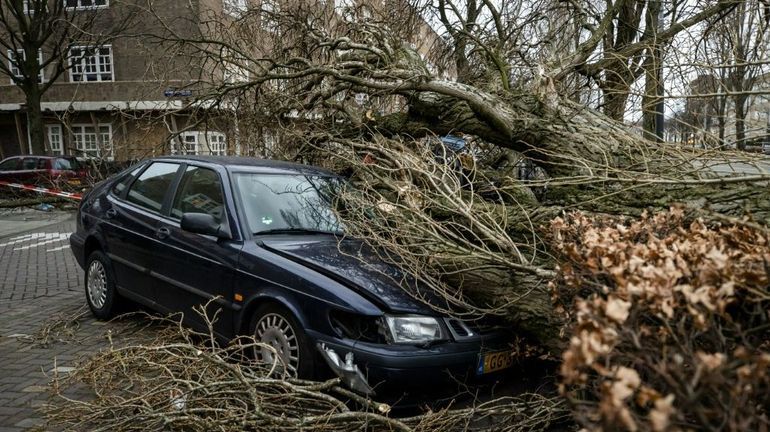 La tempête Eunice a balayé le nord de l'Europe, faisant seize morts