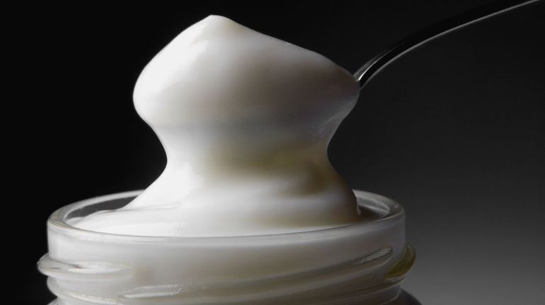 La mayonnaise light de Devos & Lemmens retirée des rayons pour étiquette incomplète