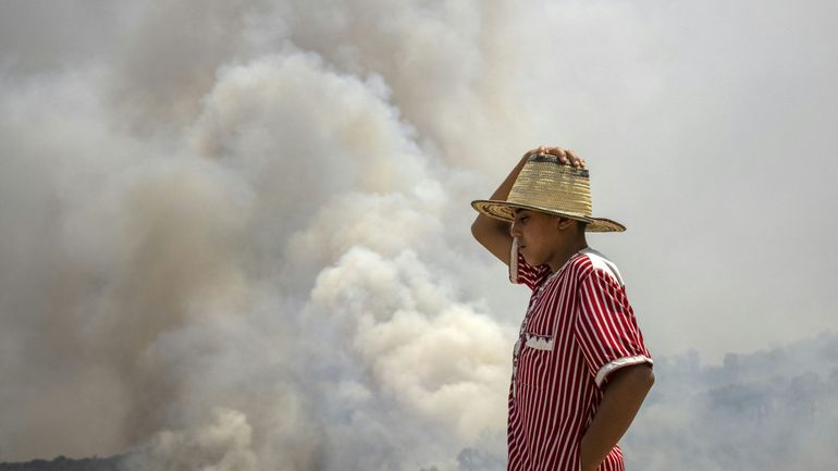 Maroc : l'important feu de forêt touchant la région de Tétouan a été maîtrisé