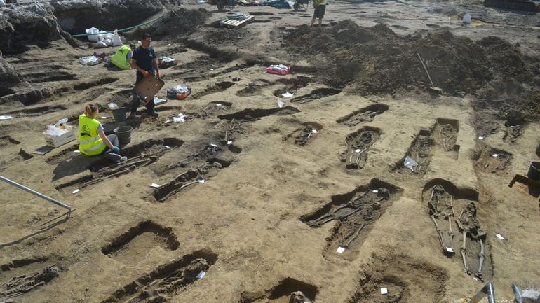 Quand de l'ADN médiéval révèle la présence de la peste noire en Flandre