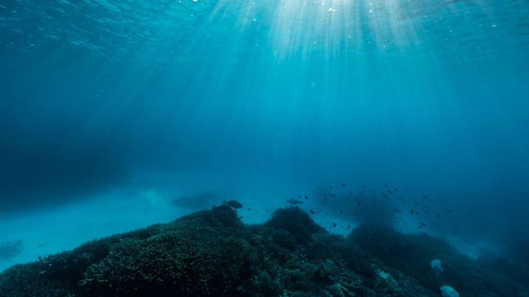 Journée mondiale de l'océan: que cherche-t-on dans les fonds marins? Avec quelles conséquences?
