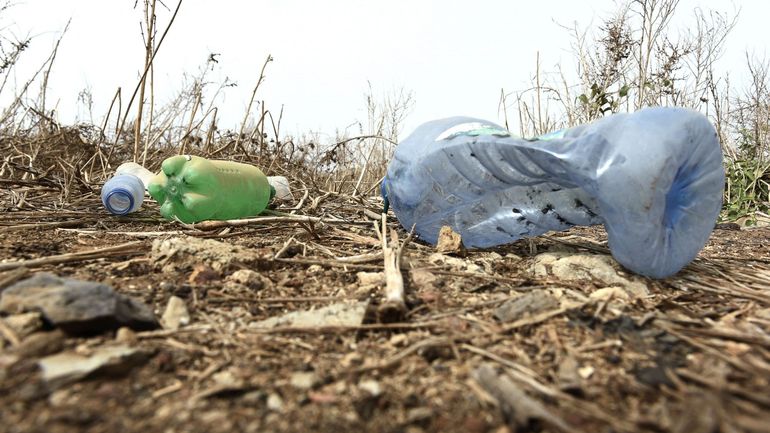 Plastique : moins de 10% recyclé, l'OCDE veut une réponse 