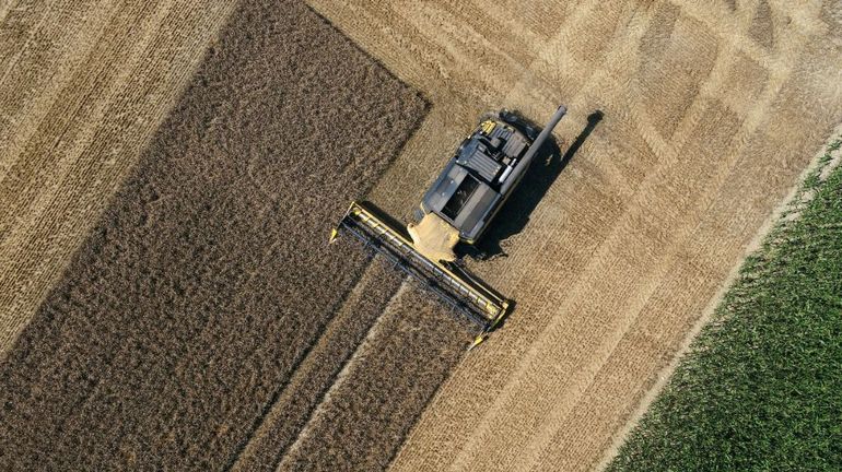 Réduction des pesticides et des engrais, augmentation de la part du bio : l'Union européenne défend sa stratégie pour la sécurité alimentaire face au lobby agricole