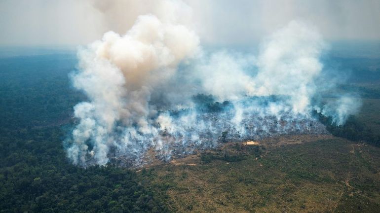 Record de chaleur et feux de forêts en Amazonie colombienne