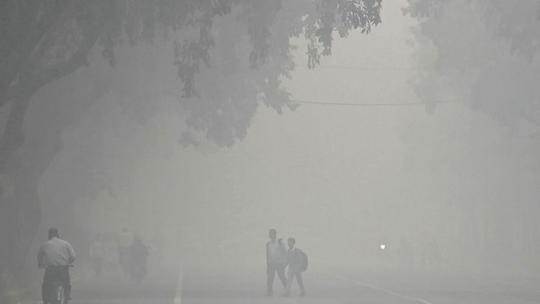 Pollution de l'air : New Delhi peut-elle suivre l'exemple de Pékin pour lutter contre ce 