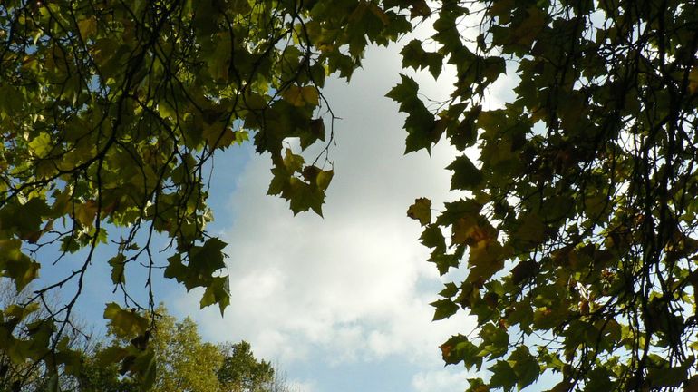 Septembre 2025 : pluvieux en Ardenne, plus sec ailleurs