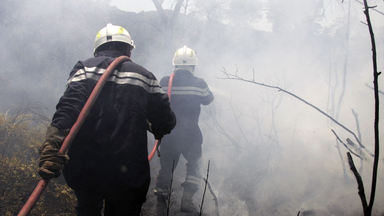 Suisse: Incendie de forêt dans le Haut-Valais, de gros moyens engagés