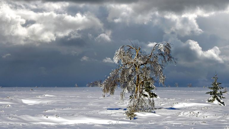 Météo en Belgique : temps bien chahuté ce lundi avec de la neige sur les hauteurs de l’Ardenne jusqu’à 12 cm et de la pluie en plaine