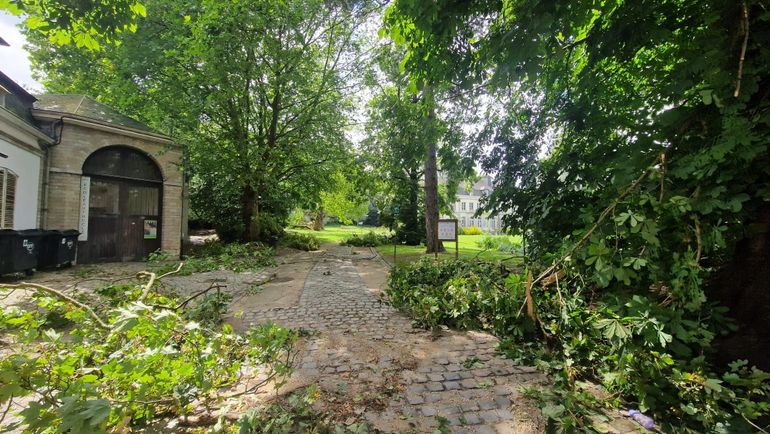 L'orage du 9 juillet a causé des dégâts à 20.000 habitations et 1.100 véhicules, selon Assuralia