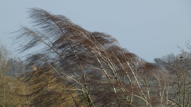 Après Dudley et Eunice, voici Franklin, la nouvelle tempête