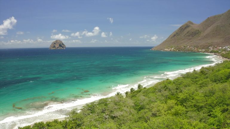 Perles d'eau : l'Île aux Fleurs, en Martinique