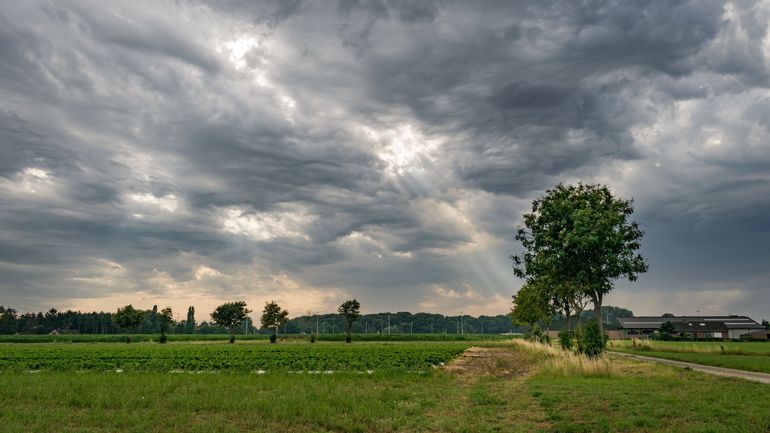 Météo en Belgique : temps gris ce vendredi matin, plus variable l'après-midi, dans une ambiance assez venteuse