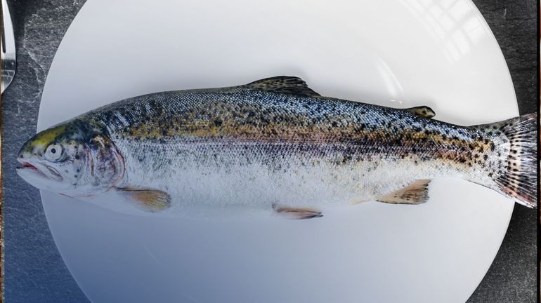 Du bon poisson dans l’assiette ? Nos 3 adresses coup de cœur