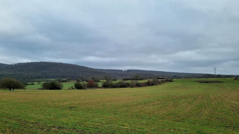 Météo en Belgique : le temps sera plus humide avec de la bruine et des rafales jusqu’à 70 km/h en bord de mer