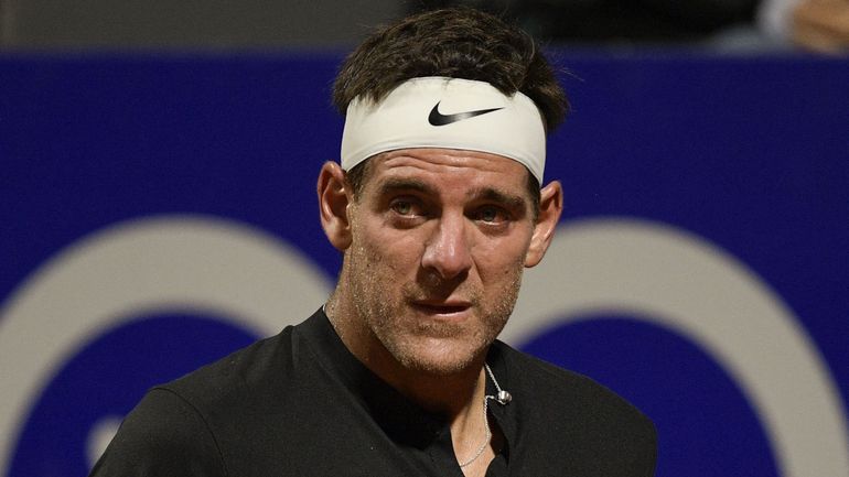 Le pari fou de del Potro, out depuis un an : "J’avais dit que j’irais à l’US Open, si l’Argentine était championne du monde"