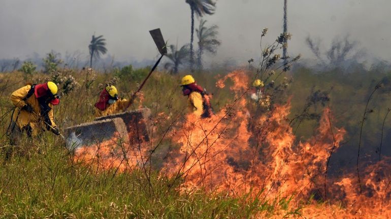 Bolivie: 749.000 hectares ravagés par les flammes cette année, selon une ONG