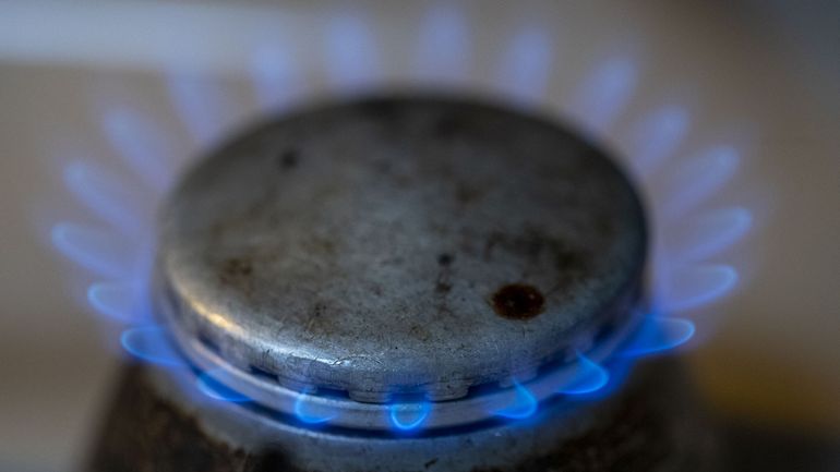 Conflit en Ukraine : la Belgique ne serait pas directement menacée par la baisse d'importation de gaz russe